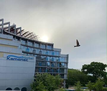 Фотографии Отель Hotel Kamenec г. Китен (Болгария) №1 Фото Отель Hotel Kamenec г. Китен 1